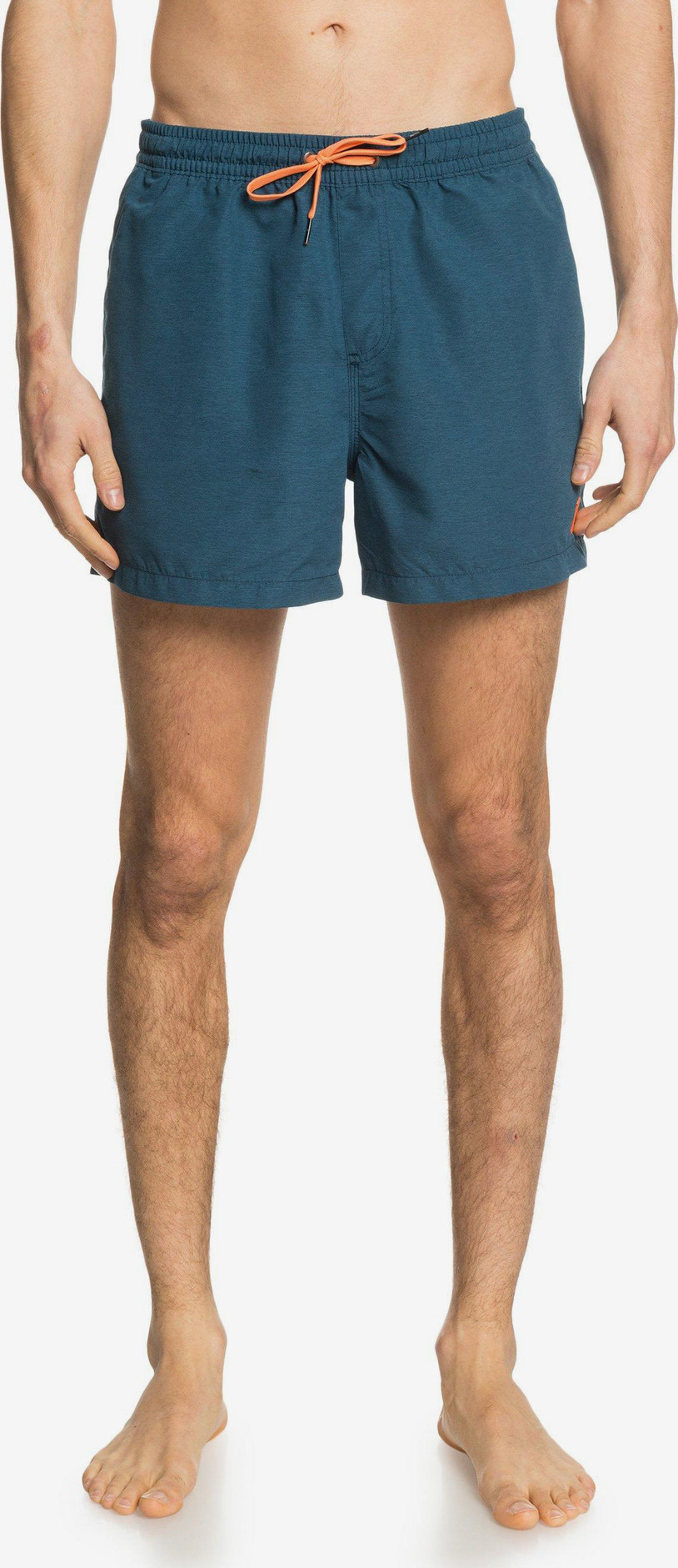 Everyday Plavky Quiksilver