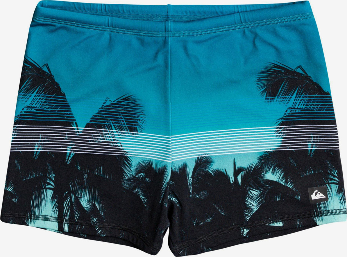 Everyday Plavky Quiksilver