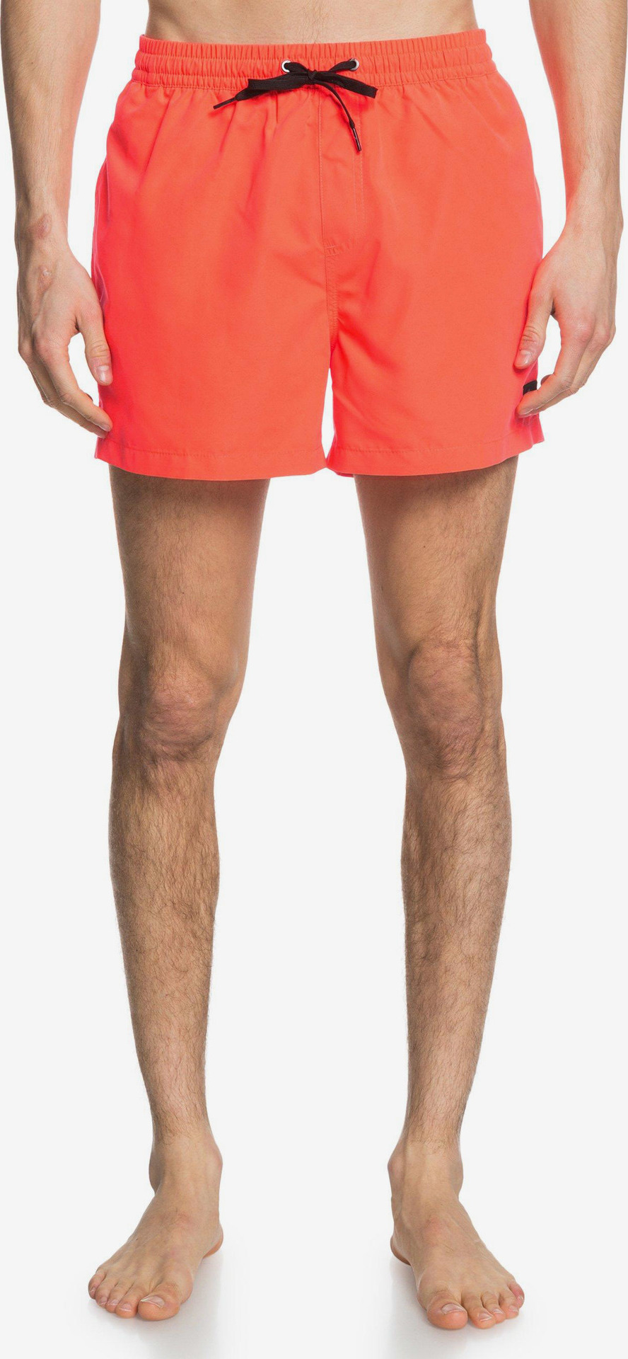 Everyday Plavky Quiksilver