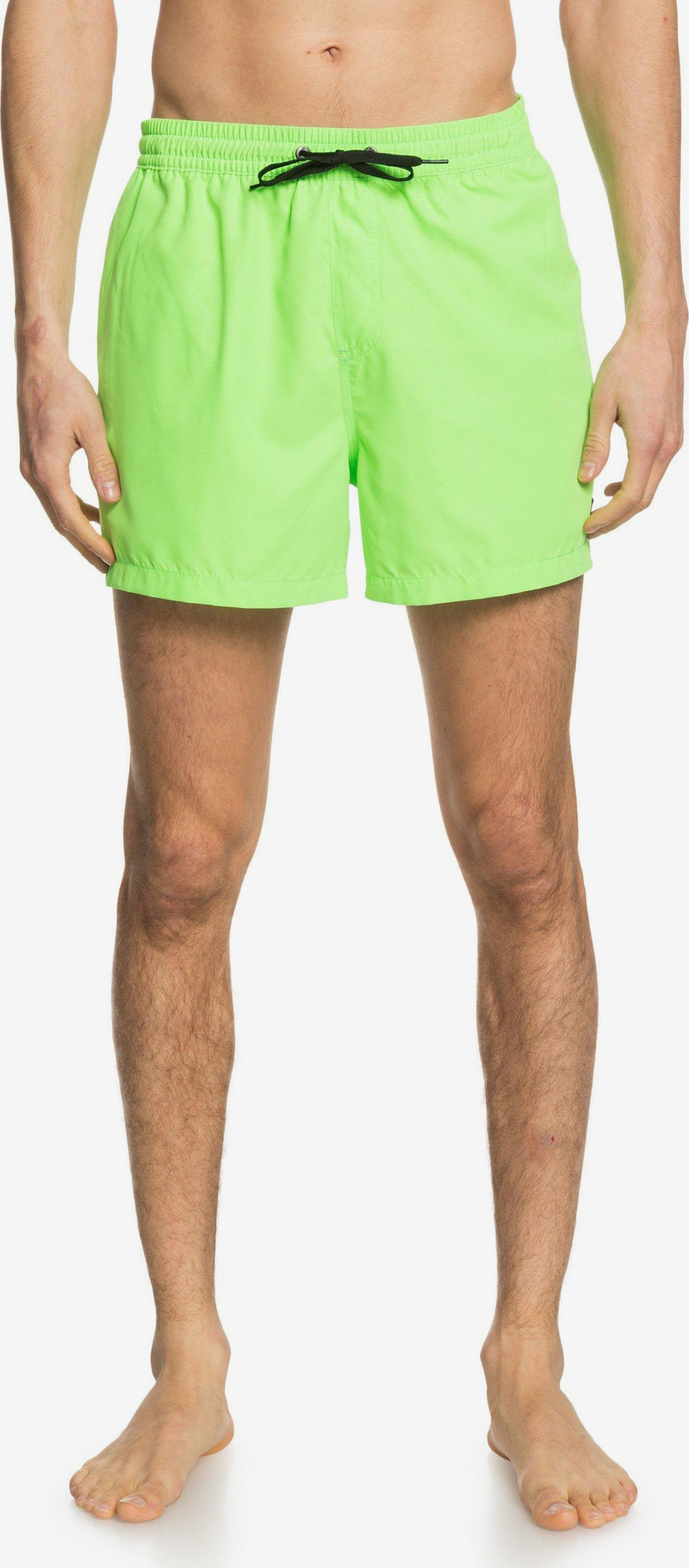 Everyday Plavky Quiksilver