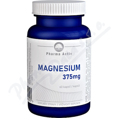 MAGNESIUM 375mg cps.60